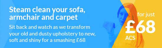 Enjoy Steam Cleaned Sofa and Carpet for Less